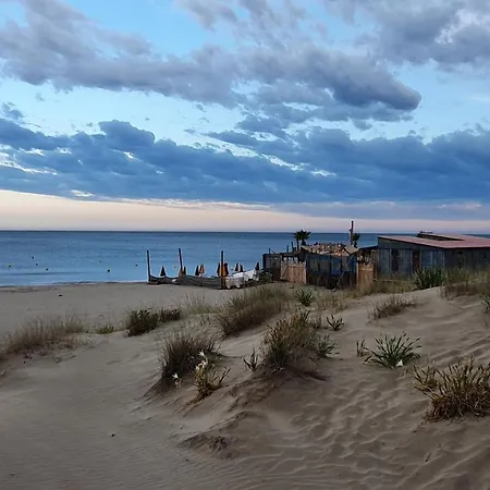 Avec Vaste Terrasse à 30 M Des Dunes *