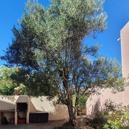Avec Vaste Terrasse A 30 M Des Dunes Daire