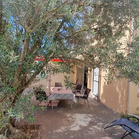 Avec Vaste Terrasse à 30 M Des Dunes